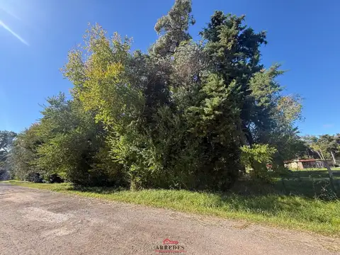 Terreno en Venta 82,58  mts Fondo