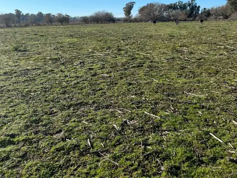 PARAJE ORTIZ, ESCALADA 100