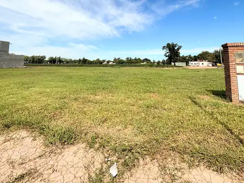 LOTE 7 LEGUAS RICARDONE
