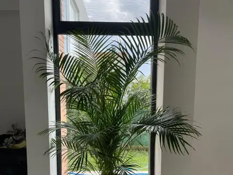 Casa en Venta 1 año