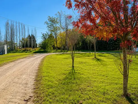 Terreno en Venta 21  mts Fondo
