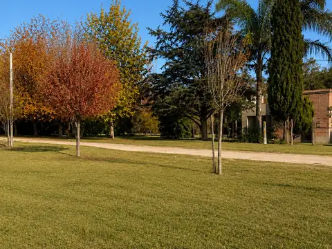 Terreno en Venta 17  mts Frente