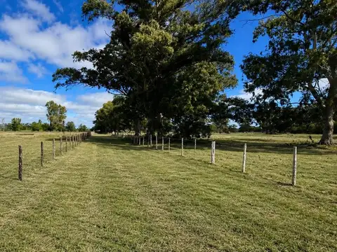 TERRENO EN VENTA SAN MIGUEL DEL MONTE RN 41 Y 215
