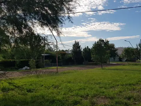 Los Halcones 100, Piso 0