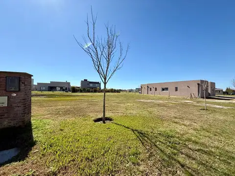 Terreno en Venta 21  mts Frente