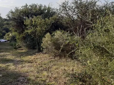 Terreno en Venta 20  mts Frente