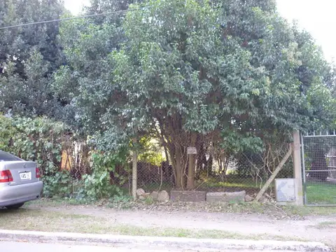 LOTE 10 X 38 METROS