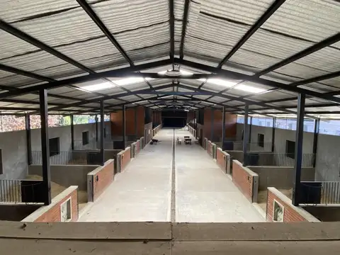 Caspian Polo  Club