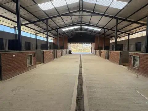 Alquiler, Caballerizas, Chacra, Caspian Polo Club, General Rodríguez