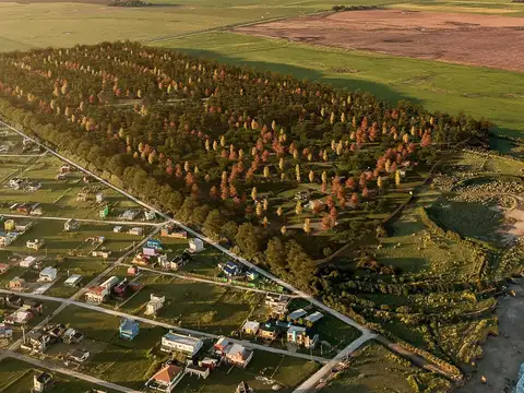 Terreno en Venta 40  mts Fondo