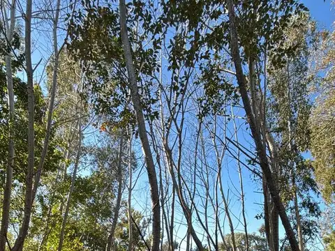 Lote en Venta GARIN - ESCOBAR OPORTUNIDAD