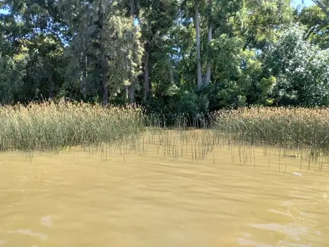 Terreno Lote  en Venta en San Antonio, Zona Delta, Tigre