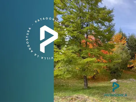 VENTA LOTE 2.300m2 B° CERRADO CAREN HUE, VILLA LA ANGOSTURA  