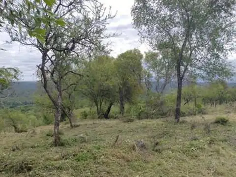 Terreno en Venta de 360,0 m2
