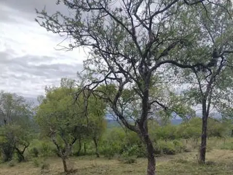 Terreno En Venta Santa Rosa, Calamuchita, Cordoba