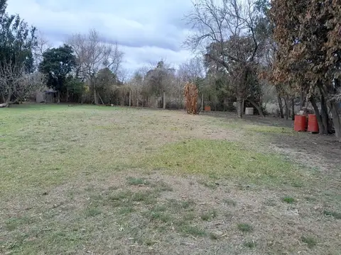 Avenida las Baleares Y PJE los cardos SAUCE VIEJO 100