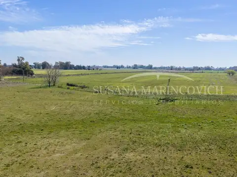 Campo de 44ha en Cucullu