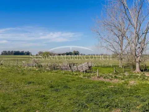 Campo de 44ha en Cucullu