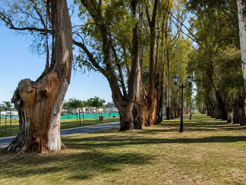 Terreno en Venta en Pilar Del Este, USD 43.000