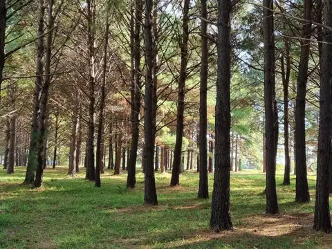 Terreno en Venta de 1300,0 m2