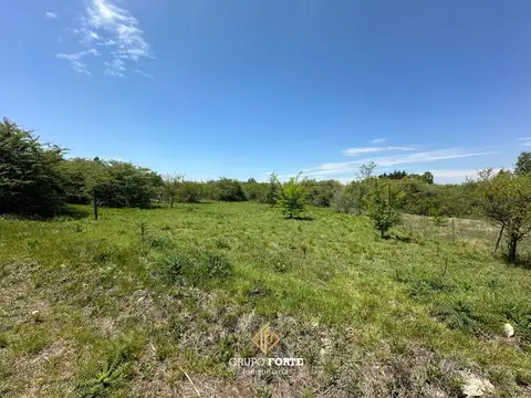 Terreno en Venta de 1462,0 m2