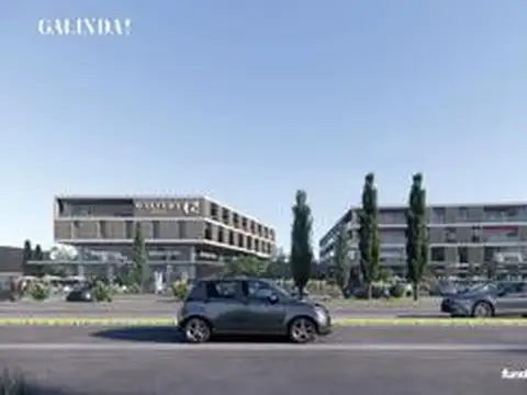 Galinda! Miguel Galindo y Picton, Funes