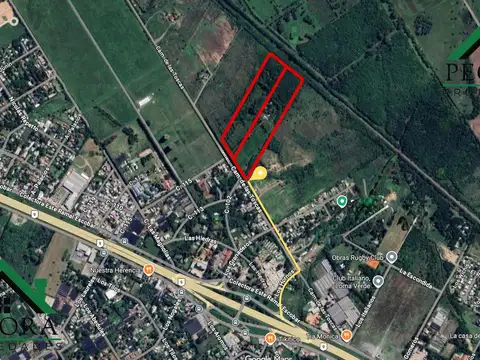 Campo 8,7HA - Terreno - Loma verde - Belen de Escobar - Calle Camino de las toscas y Los granaderos