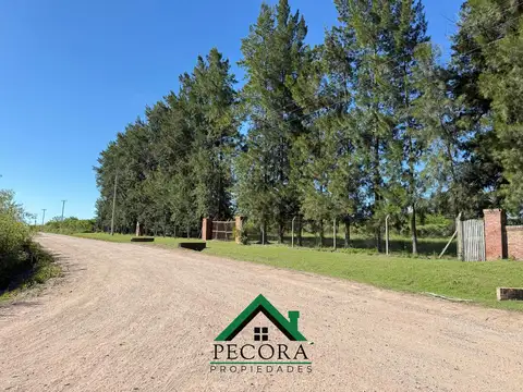 Campo 8,7HA - Terreno - Loma verde - Belen de Escobar - Calle Camino de las toscas y Los granaderos