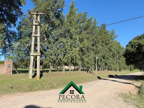 Campo 8,7HA - Terreno - Loma verde - Belen de Escobar - Calle Camino de las toscas y Los granaderos