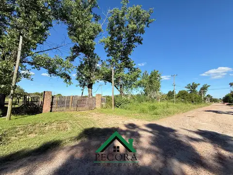 Campo 8,7HA - Terreno - Loma verde - Belen de Escobar - Calle Camino de las toscas y Los granaderos