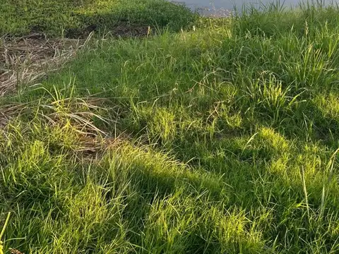 Hermoso terreno con 49m sobre la Laguna