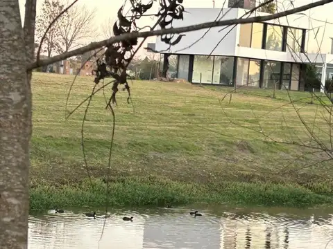 Del Lujan 100