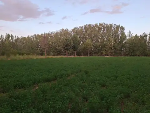 Campo en Venta Chacra