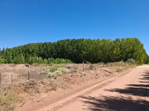 Pje. Puyehue 100