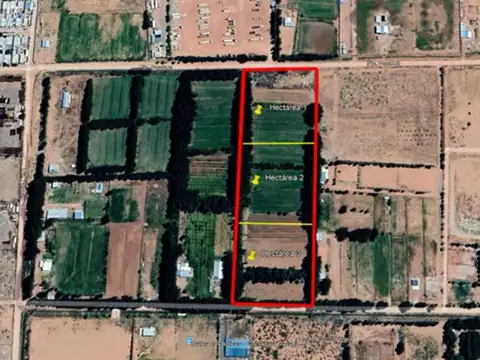 Venta 3 Hectareas en Rincón de los Sauces.