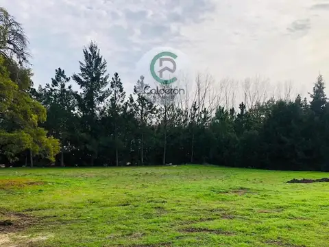 Colectora Norte Km 42