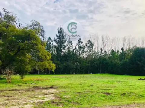Colectora Norte Km 100