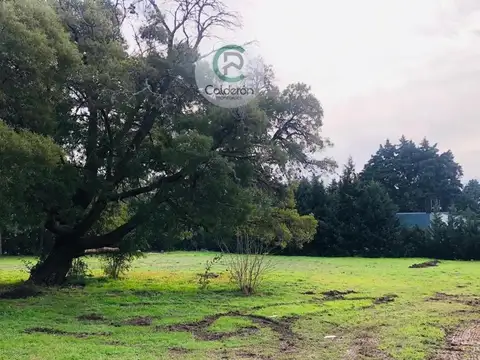 Terreno en Venta de 1500,0 m2