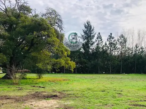 Terreno Lote en Venta Country San Diego