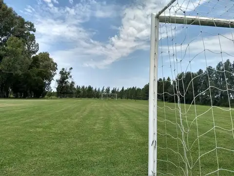 Terreno en Venta de 800,0 m2