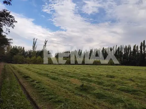 CHACRA EN VENTA DE 2,5 HECTÁREAS EN CIPOLLETTI