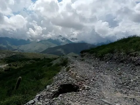 Terreno en Venta en Tafi del Valle, USD 68.000