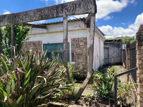 Blanca Trotta Manzana A Solar 100