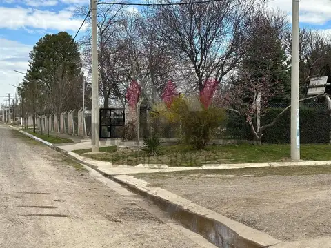 Manzanar de Plottier