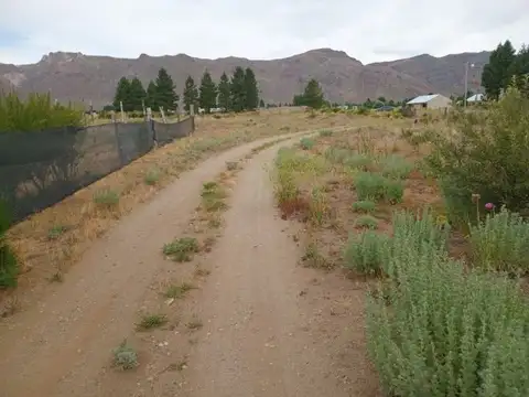 Calle Vicente López y Planes