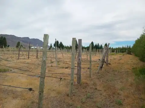 Calle Vicente López y Planes