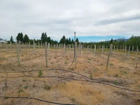 Calle Vicente López y Planes