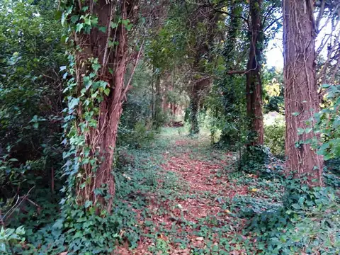 Terreno en Venta de 600,0 m2