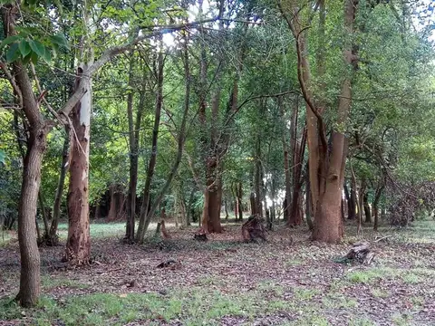 LOTE EN VENTA 600 M2 EN BARRIO CERRADO BRISAS BRISAS DEL SUD