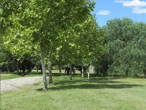 Terreno en Venta 38  mts Fondo
